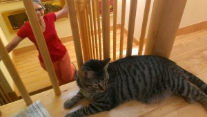 Stephanie and Toulousse