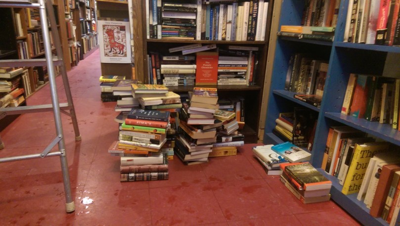 View from the "Jong Section" of Ravenswood Used Books.